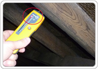 A detached house in north Yorkshire with mould and damp roof timbers 