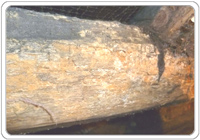 restricting ventilation encourages mould