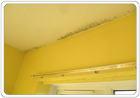 mould on bedroom ceilings