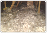 loft insulation