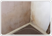 Mould on bedroom walls 