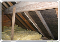 severe mould in a bedroom