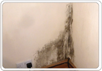 restricting ventilation encourages mould