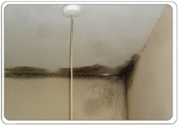 mould across a ceiling