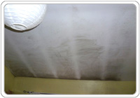 mold on ceiling