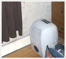 Dehumifiers are no substitute for effective ventilation