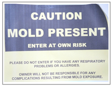 caution mold